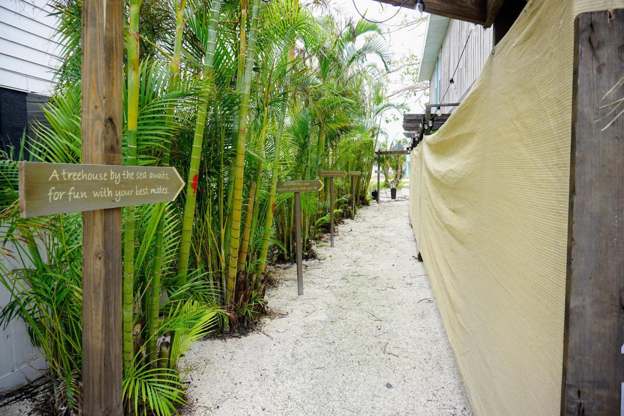 Ami Tree House Villa Bradenton Beach Eksteriør bilde